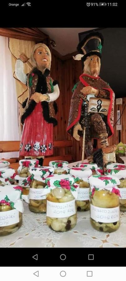 Agroturystyka Pod Lasem Poronin Exterior foto