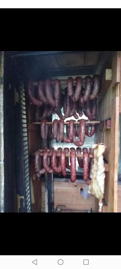 Agroturystyka Pod Lasem Poronin Exterior foto