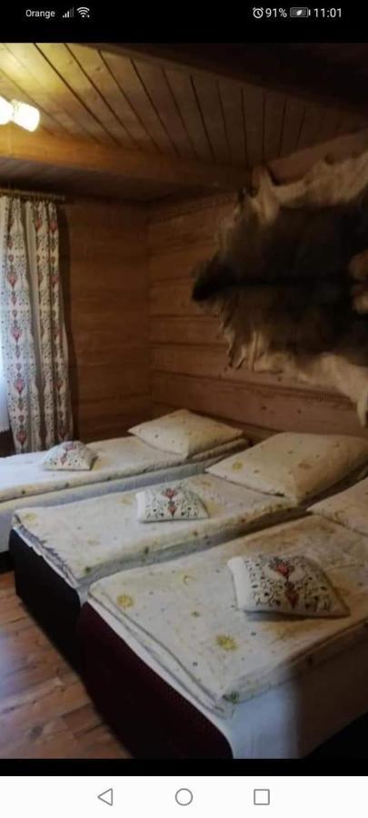 Agroturystyka Pod Lasem Poronin Exterior foto